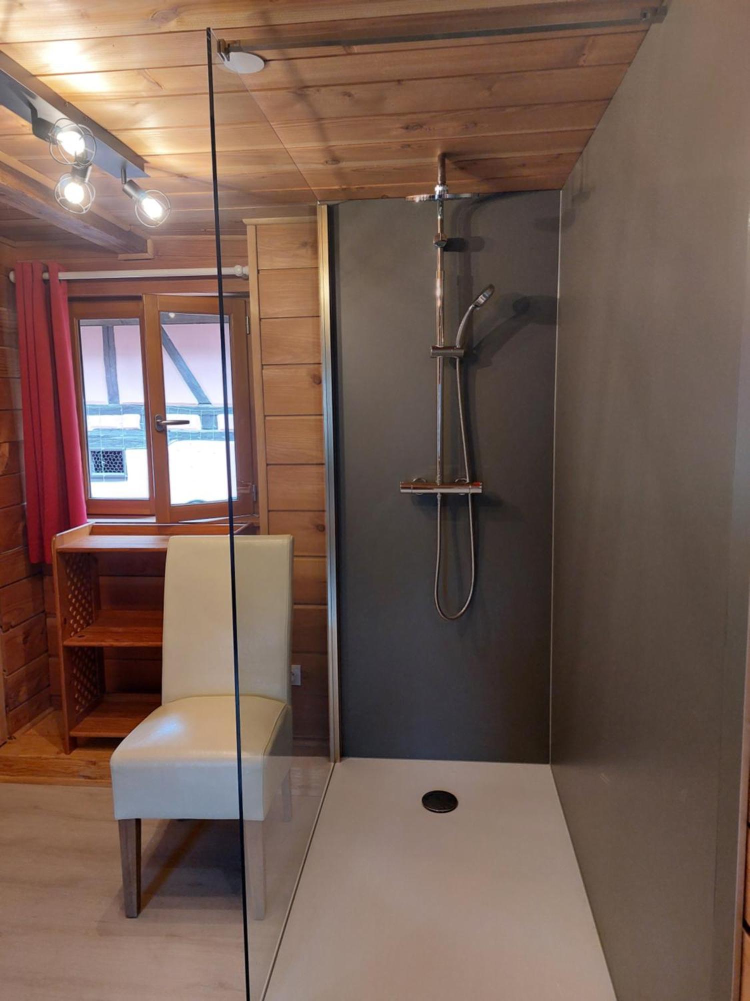 Holiday home Le Petit Muscat A Eguisheim